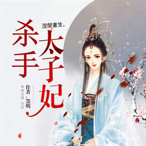涅槃重生：杀手太子妃（重生女强）