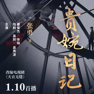 贵婉日记