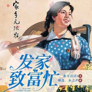 八零小后娘:发家致富忙