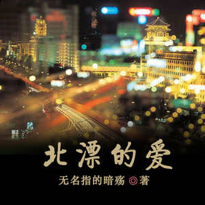 北漂的爱